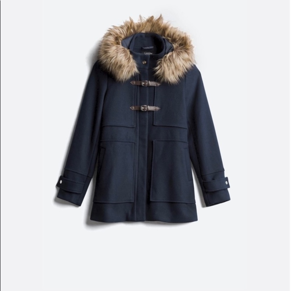 Stitch fix coat